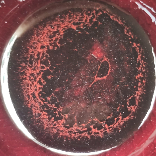 atelier-vb-ceramique